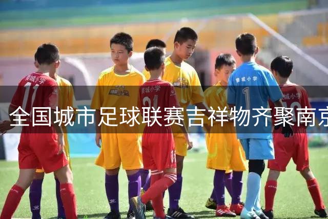 全国城市足球联赛吉祥物齐聚南京共襄盛举