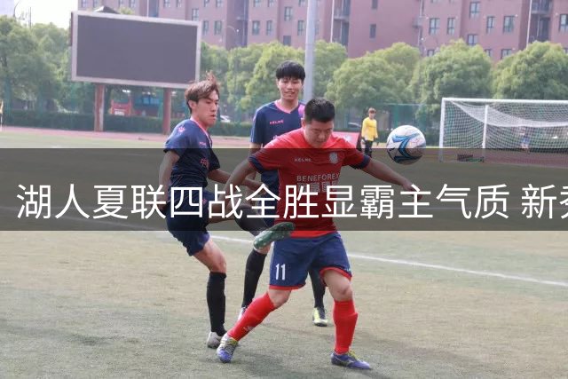湖人夏联四战全胜显霸主气质 新秀卡尔的四维特质闪耀全场