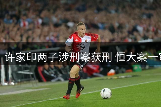 许家印两子涉刑案获刑 恒大案一审判决出炉